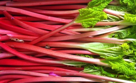 blog-image-rhubarb-large-1