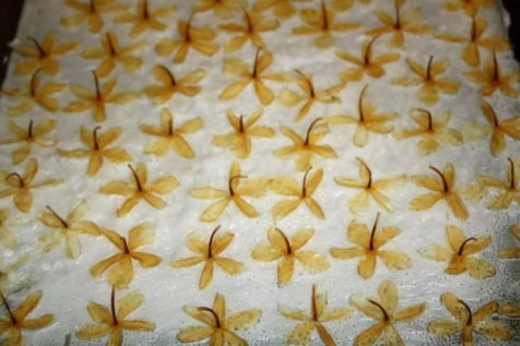 enfleurage-5-600x400