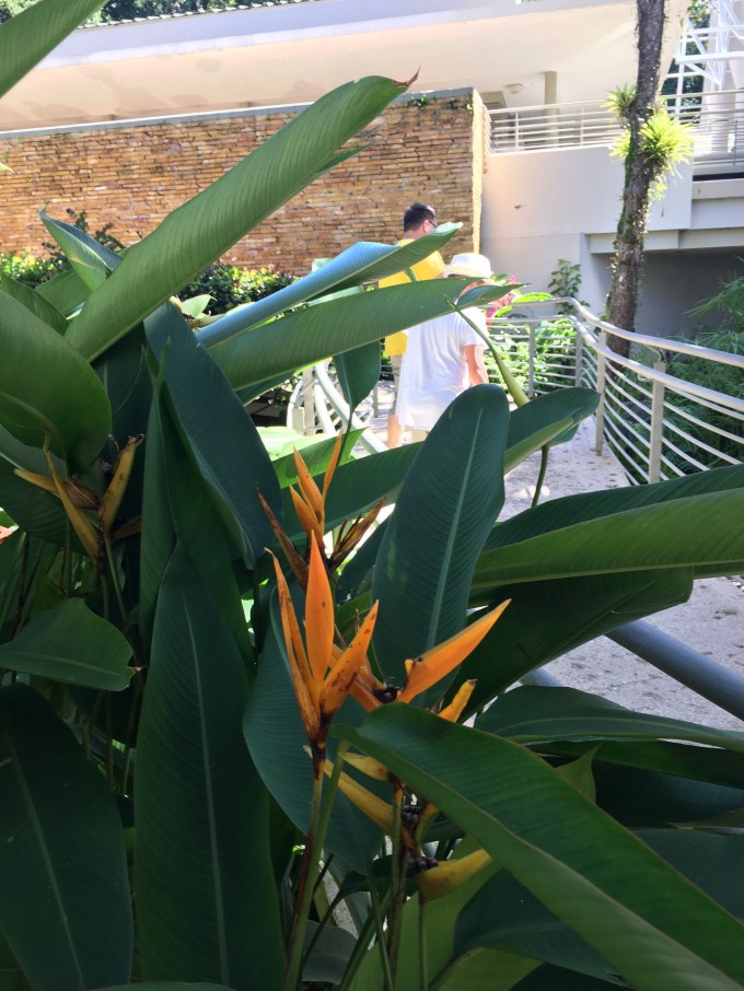 De var inte heller någon dofthöjdare ;) Men fina var dem!