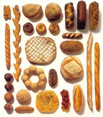 a27ab24c256ce4e71ff9975c240a4f58