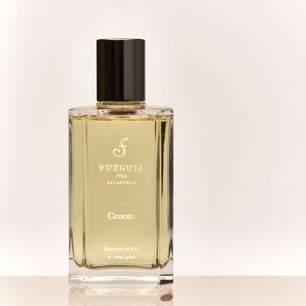 Cenote, Fueguia 1833