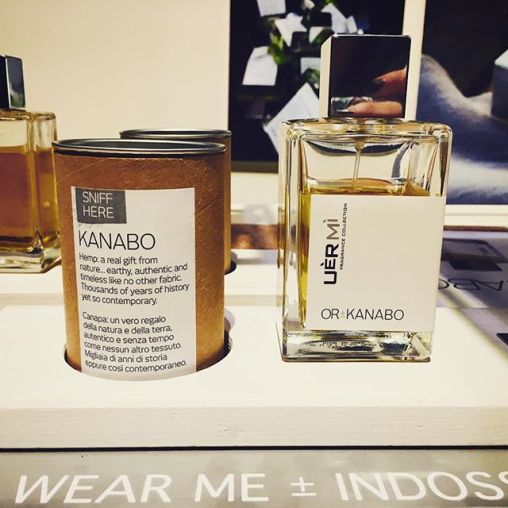 21689208_117000709042076_4840099173866930176_n