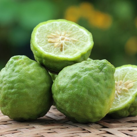 Bergamot