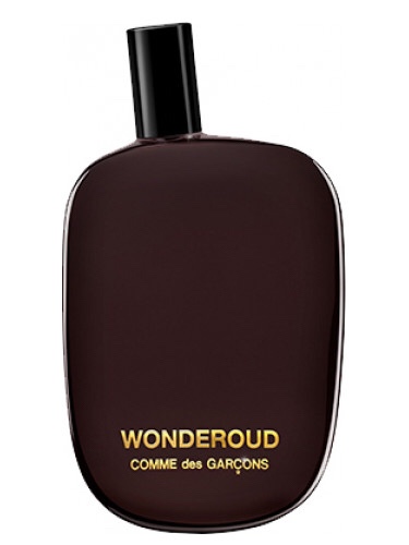 Wonderoud – Comme des Garcons