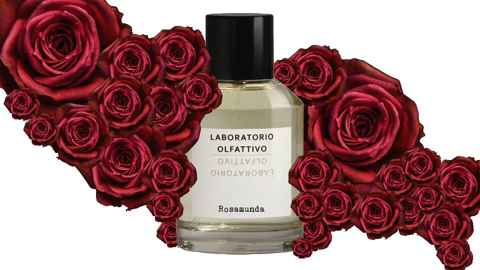 Comeback to the bed of roses – Rosamunda Laboratorio Olfattivo