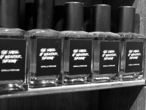 The Smell of Weather Turning, Gorilla Perfume