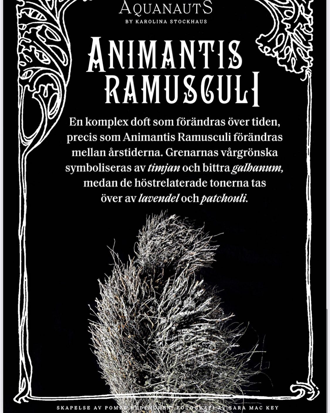 Aquanauts: Expeditonen intar Kulturhuset i Stockholm!